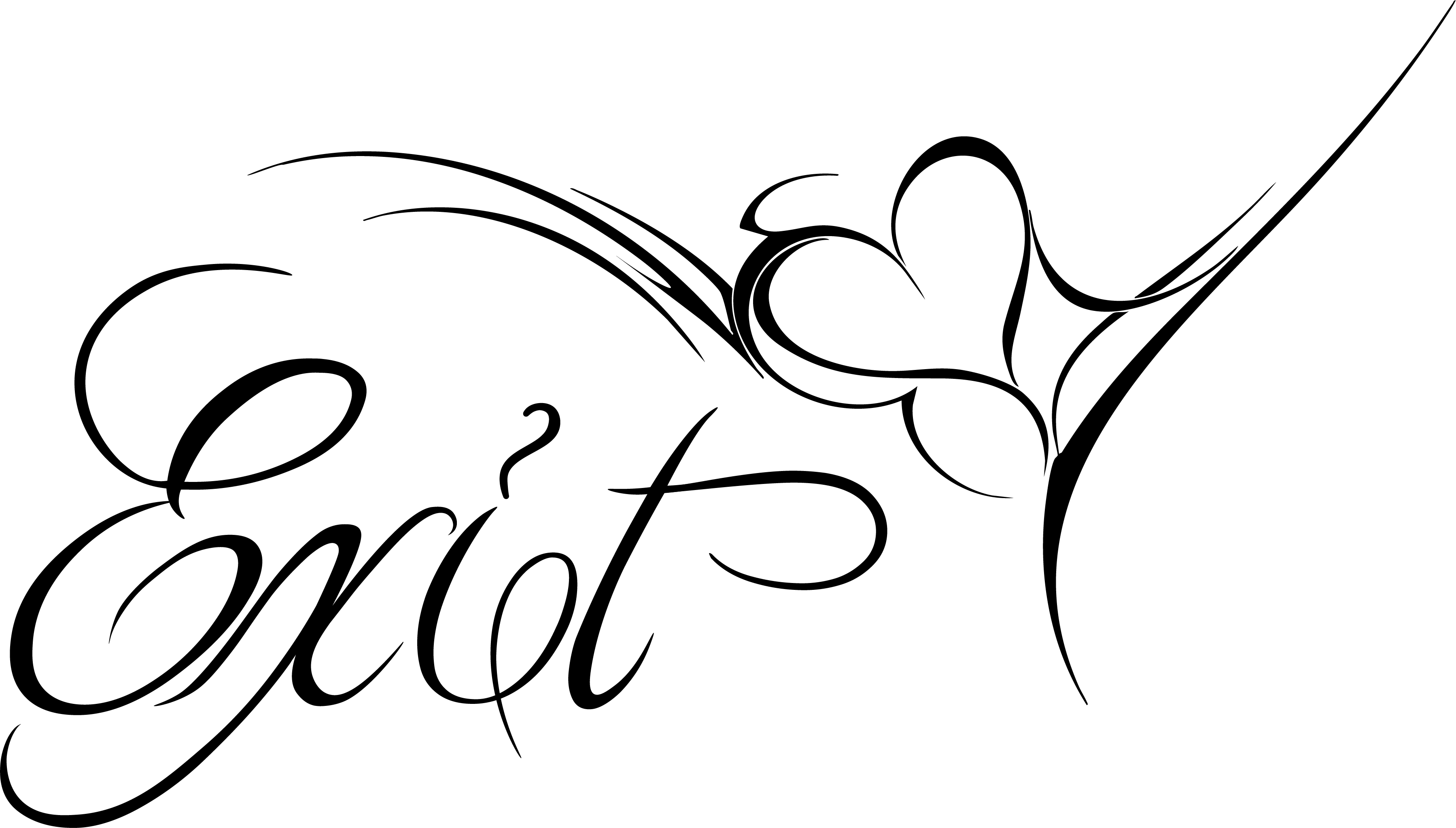 Exit Script Logo